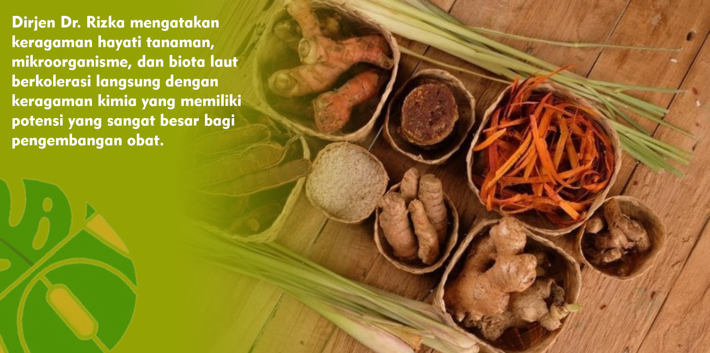 Indonesia Kejar Kemandirian Bahan Baku Tradisional